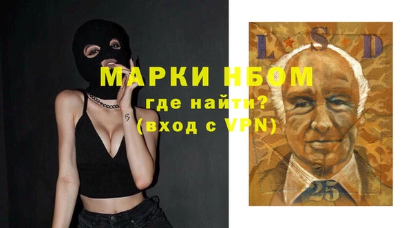 винт Гусь-Хрустальный