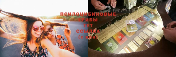 стаф Гусиноозёрск