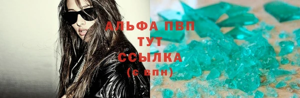 стаф Гусиноозёрск