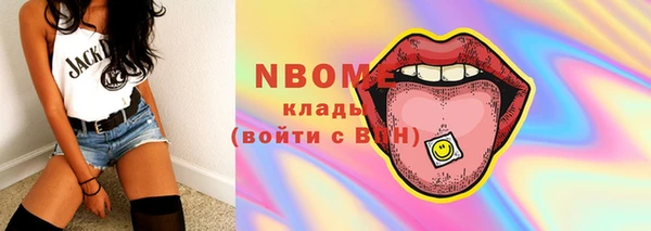 винт Гусь-Хрустальный