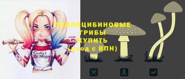винт Гусь-Хрустальный
