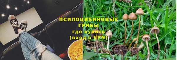 мяу мяу мука Гусев
