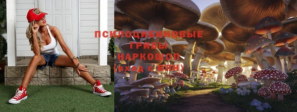 стаф Гусиноозёрск