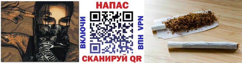 Шишки марихуана планчик Нарткала